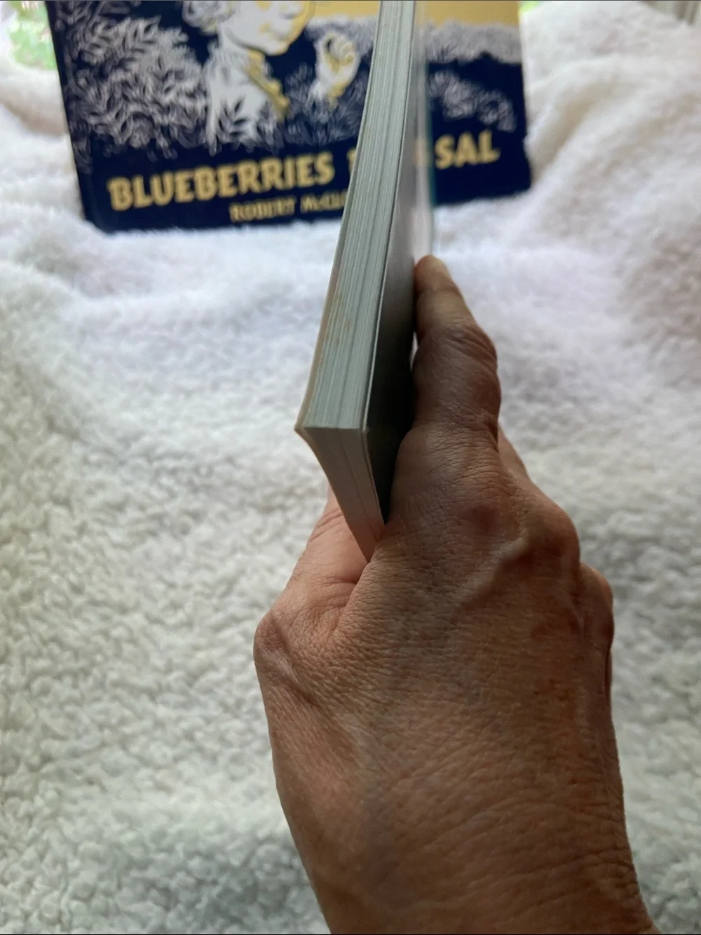 Robert McCloskey BOOK BUNDLE! Blueberries for Sal & Make Way for Ducklings BOGO